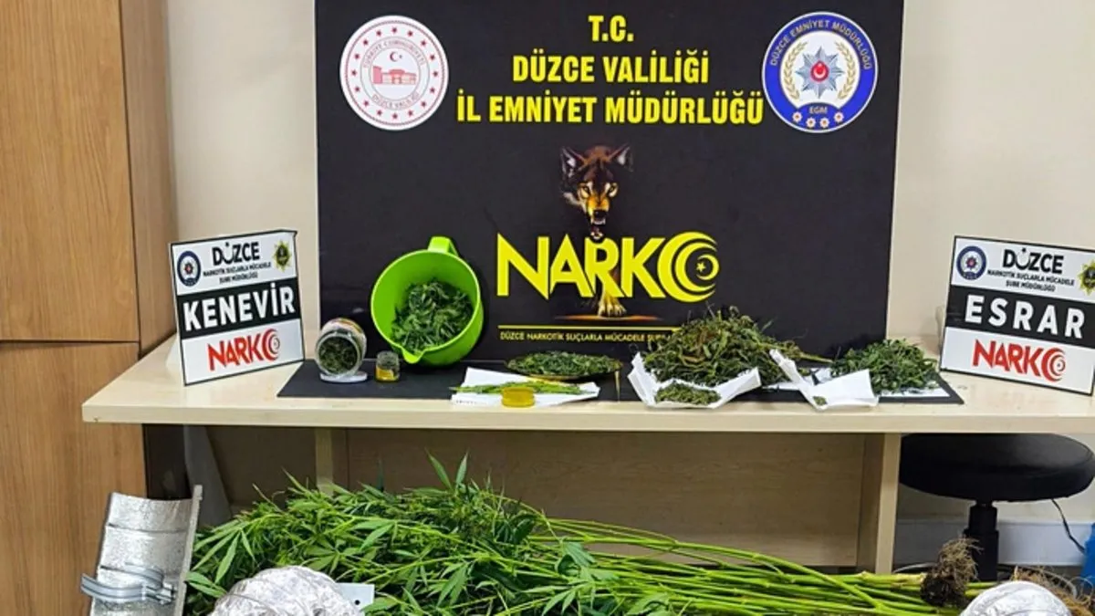 Düzce’de uyuşturucu operasyonu: Evi seraya çevirmiş!